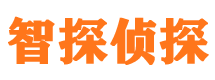 富平市侦探调查公司